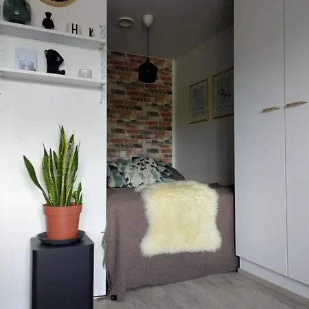Kaupunkihuoneisto Muuripata